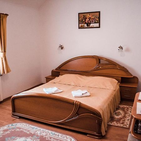 Pensiunea Ana Băile Felix 外观 照片